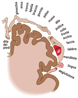 stimolazione del cervello