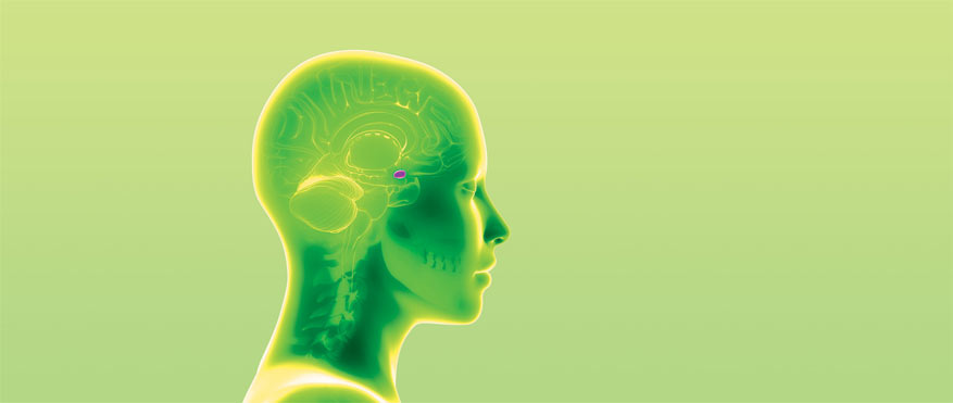cura saninforma120 - salute e longevità con terapia di melatonina per il potenziamento della ghiandola pineale